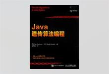 Java遗传算法编程  Lee Jacobson著 王海鹏译 PDF下载