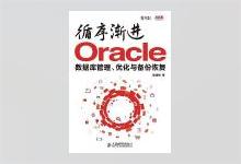 循序渐进Oracle：数据库管理、优化与备份恢复 盖国强著 PDF下载