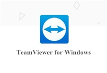 TeamViewer 14 for Windows V14.1.3399免费版