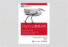 图灵程序设计丛书《Hadoop数据分析》高清文字版PDF下载