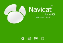 Navicat for MySQL 11.1.13 中文破解免注册版下载