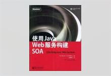 使用Java Web服务构建SOA PDF下载