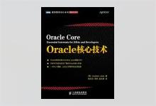 图灵程序设计丛书《Oracle核心技术》PDF下载