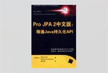 Pro JPA2中文版：精通Java持久化API 中文版PDF下载