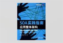 SOA实践指南：分布式系统设计的艺术 Josuttis.N.M.著 程桦译 PDF下载
