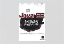 Java EE企业级编程开发实例详解 袁梅宇著 PDF下载